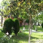 Hotel Palme
