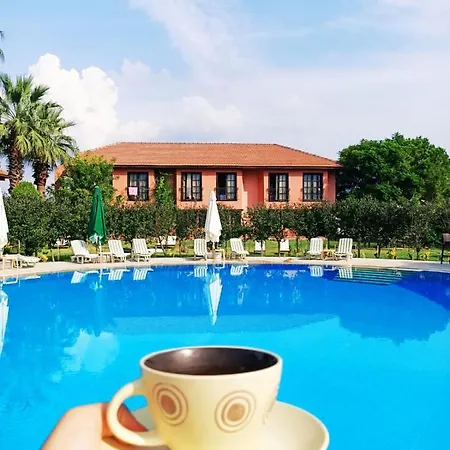 Palme 4* ダルヤン