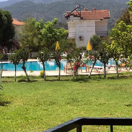 Palme 4* ダルヤン