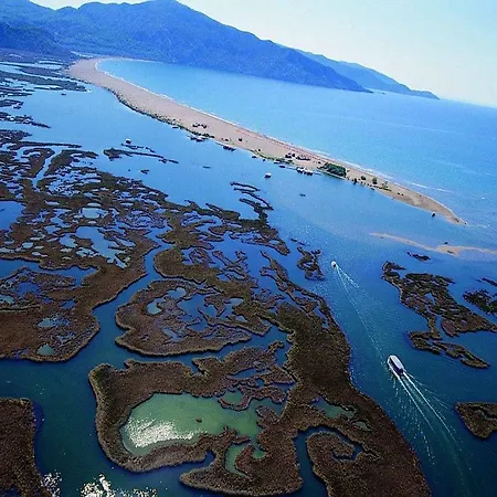 ホテル Palme ダルヤン