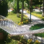 Palme 4*