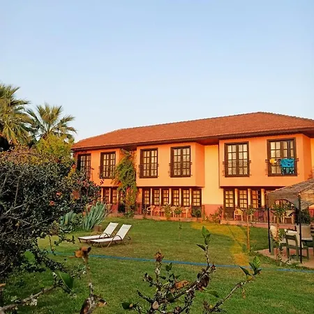 Palme Otel 2*