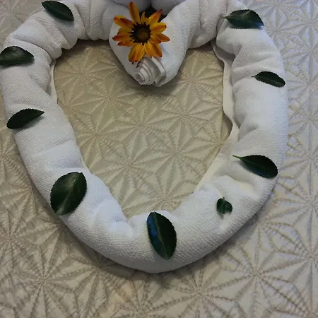 Palme 호텔 달리안