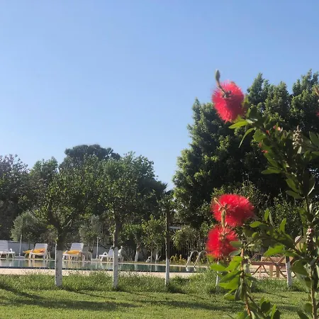 Palme Otel Dalyan