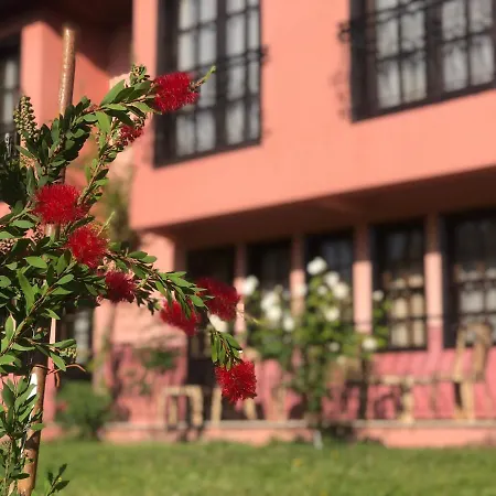 Palme Otel Dalyan