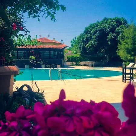 Otel Palme 2*