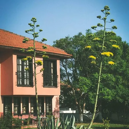 Palme Otel