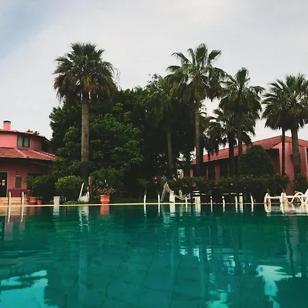 Palme Hotel