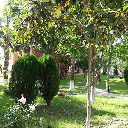 Otel Palme