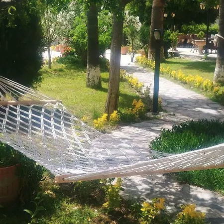 Palme 2*