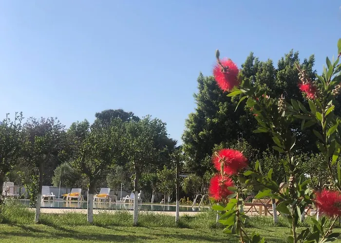 Palme Отель Дальян