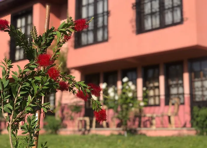 Palme Отель Дальян