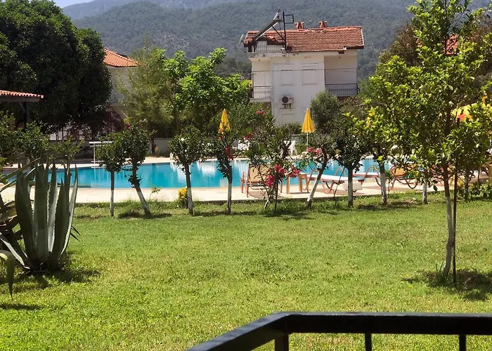 Palme 4* Дальян